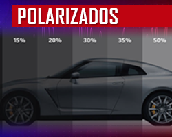 Polarizados Loro Car Audio